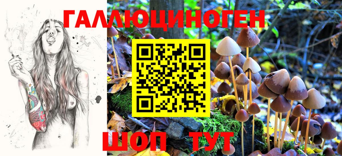 Канаш  Псилоцибиновые грибы Magic Shrooms  Вход с VPN 